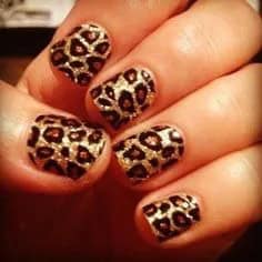 Exotic Beauty: Animal Prints