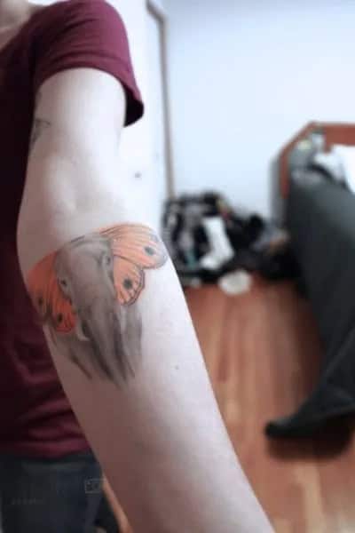 Elephant Head with Butterfly Ear Tattoo on Arm