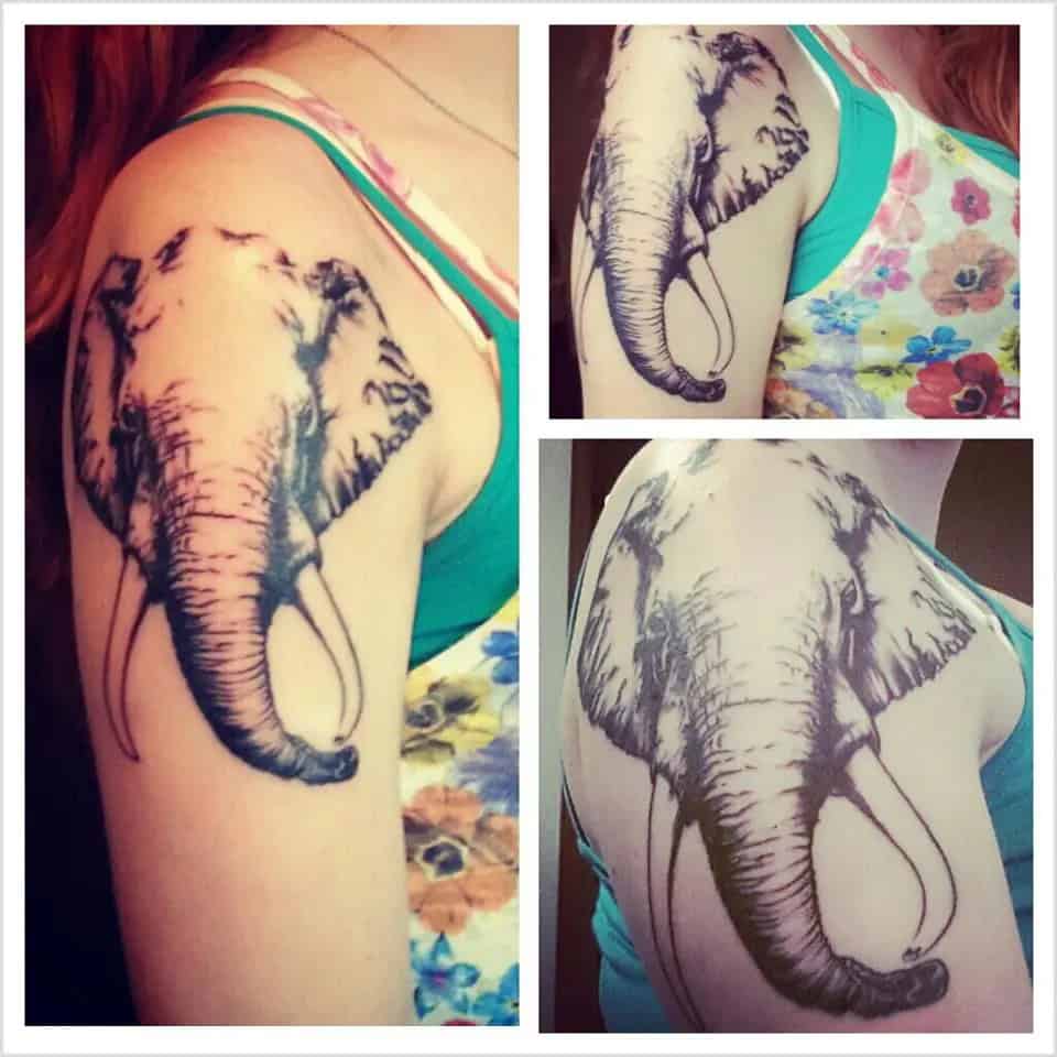 Elephant Head Tattoo Designs