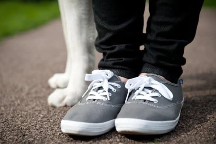 Black Slim Fit Jeans with Grey and White Walking Sneakers