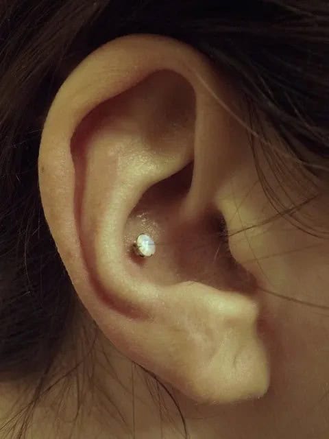 The Conch Piercing