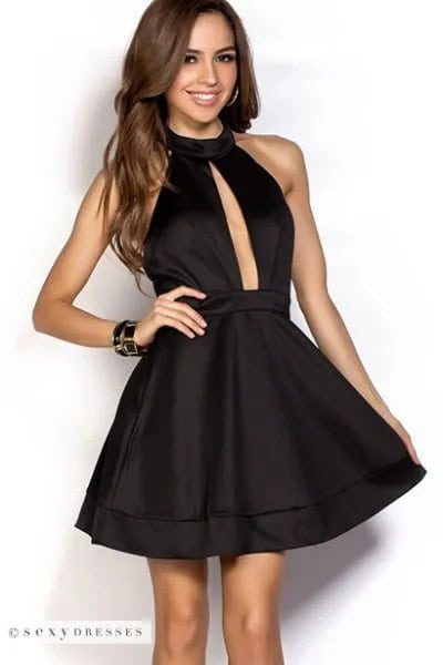 Black Halter Neck Plunging Neckline Silk Skater Dress