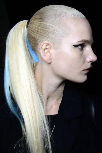 Sleek Ponytail