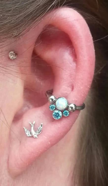 The Conch Piercing